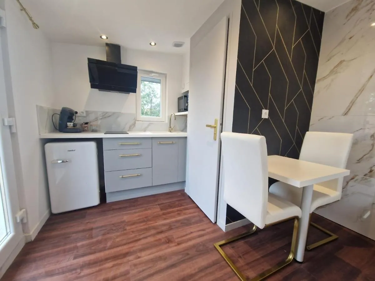 Appartement L'Experience Love Room Saint-Jean-Bonnefonds